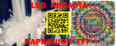СК Гусев