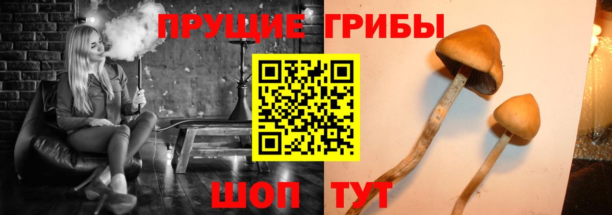 Галлюциногенные грибы Magic Shrooms  Вход с VPN  Воскресенск 